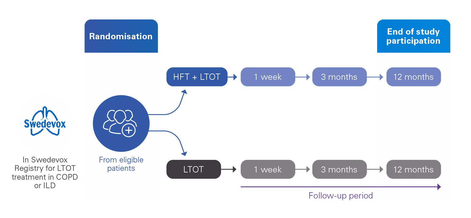 A flowchart showing the duration of the HiLOT study, from randomisation of participants to end of study.